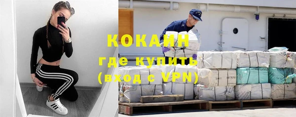дживик Майский