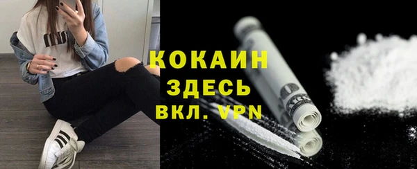 дживик Майский