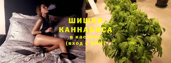 дживик Майский