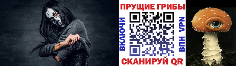 Купить где  Амурск  Псилоцибиновые грибы Psilocybe 